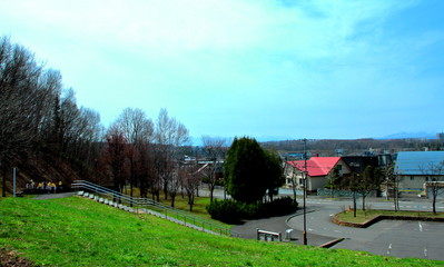 春の札幌の公園散歩道