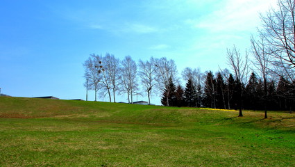 春の札幌の公園散歩道