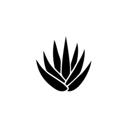 Aloe vera plant icon