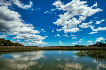 Fototapeta na wymiar Puffy white clouds and blue sky over a salt-marsh at Pawleys Island.