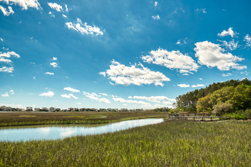 Puffy white clouds and blue sky over a salt-marsh at Pawleys Island.