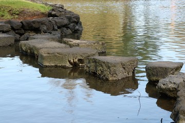 Fototapeta na wymiar Flat rocks creating a walkway across the narrow section of a pond.