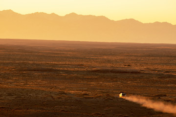 Suvs drive across the vast gobi desert in the early morning hours.