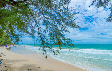 Fototapeta na wymiar beach and tropical sea on blue sky background.