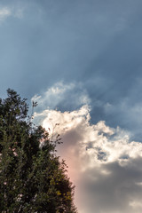 Sunset with rays of sun shining through the clouds with a tree in the foreground image with copy space