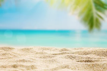 Poster Zonnig tropisch Caribisch strand met palmbomen en turquoise water, eilandvakantie, warme zomerdag © Mariusz Blach