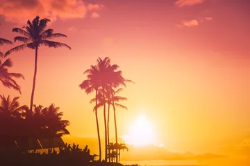 Deurstickers Tropical island sunset with silhouette of palm trees, hot summer day vacation background, golden sky with sun setting over horizon © Mariusz Blach