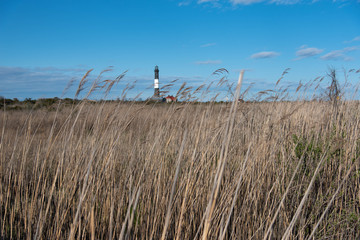 Obraz premium Lighthouse