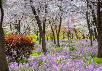 Naklejka premium Many type of flower full blooming at the east lake park.