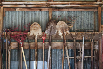 Garden tools hanging in a row in a shed; shovels and rakes hooked on a wooden beam in a line