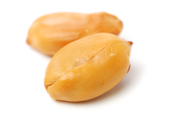 Peanuts on a white background