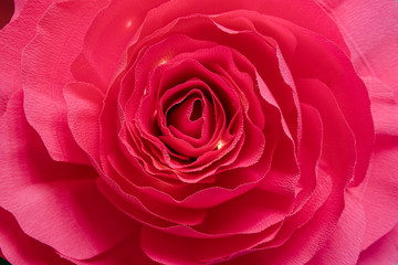 Beautiful Paper made of carnations, flower isolated 