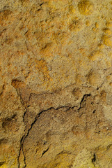 Background texture of orange stone with cracks, irregularities and divorces. Blur, close-up, top view, plenty of space for text, nobody, vertical. Design concept.