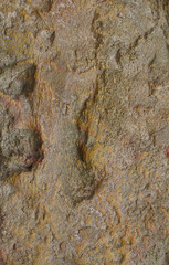 Background texture light brown stone with cracks, irregularities and divorces. Blur, close-up, top view, plenty of space for text, nobody, vertical. Concept of design and nature.