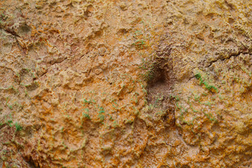 Background texture of orange stone with cracks and irregularities. Blur, close-up, top view, plenty of space for text, no one. Concept of design.