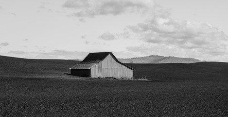 Barn in open field taken in black and white 