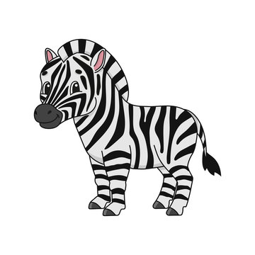 Zebra. Cute flat vector illustration in childish cartoon style. Funny character. Isolated on white background.