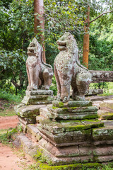 Obraz premium Sculpture details at the beautiful Ta Prohm temple in Siem Reap, Cambodia