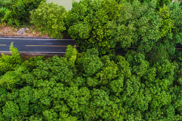 Aerial view green mountain forest with rural road