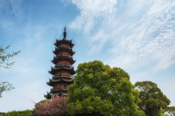Longhua Pagoda in spring with the blossom sakura. Shanghai. China.