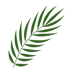 branch with leafs decorative icon