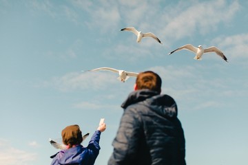 gulls and people with a piece of bread