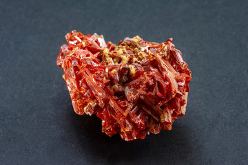 Crocoite cluster of red crystals from Tasmania, Australia. A mineral consisting of lead chromate...