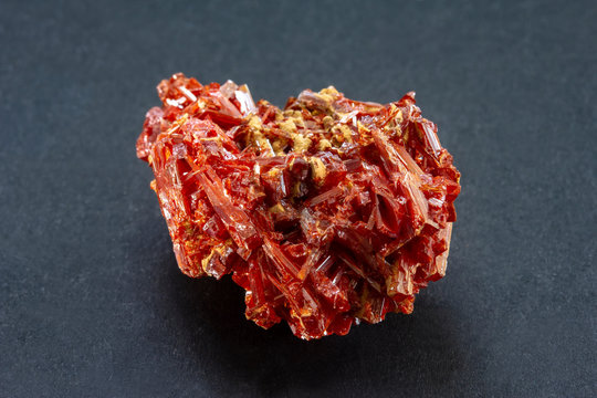 Crocoite cluster of red crystals from Tasmania, Australia. A mineral consisting of lead chromate and crystallizing in the monoclinic crystal system. 