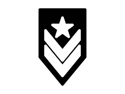 badge solid vector icon