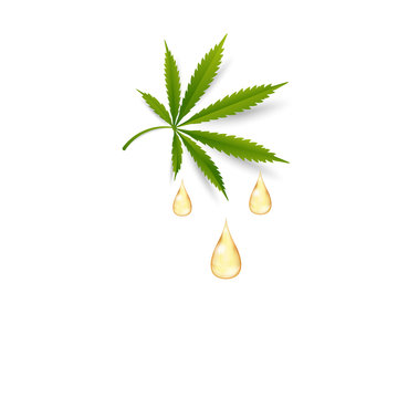 Cannabis Oil Drop Icon With A Marijuana Leaf