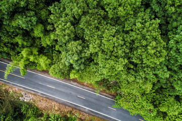 Aerial view green mountain forest with rural road