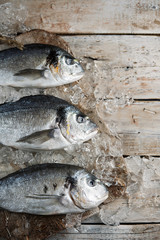 Fresh raw sea bream fish and crushed ice on vintage wooden table. Healthy food concept, top view, copy space