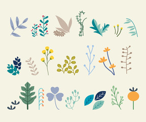 Obraz premium Set of abstract leaves. Vector design elements
