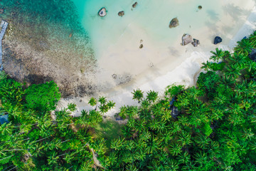 Aerial view white sand beach with coconut palm tree turquoise water