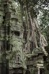 Beautiful sculpture at the Ta Prohm temple ruins in Siem Reap, Cambodia