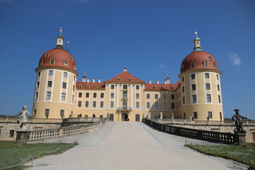 Fototapeta na wymiar Schloss Moritzburg im Dredener Umland