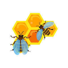 Honeycomb cartoon illustration. Couple of flying bees. Honey concept. Vector illustration can be used for topics like organic food, apiculture, beekeeping