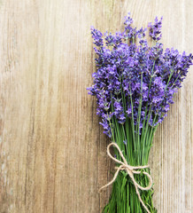 fresh lavender flowers