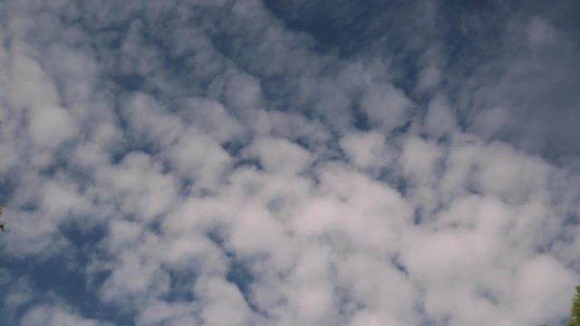 A still low angle shot of the heavy clouds filling the blue sky while the wind blows the trees however so graciously