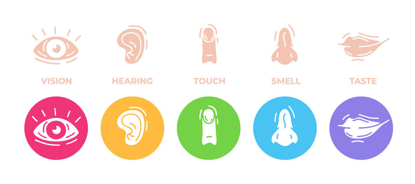 Five human senses icons set. Vision, hearing, touch, smell and taste. Eye, ear, hand, finger, nose and mouth. Cute simple modern design. Symbols and logos. Flat style vector illustration.
