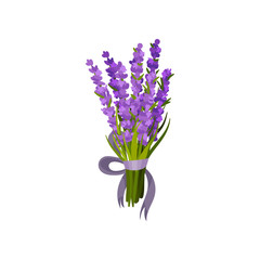 Bouquet of flowers tied with a ribbon with a bow. Vector illustration.