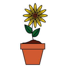 sunflower in pot icon