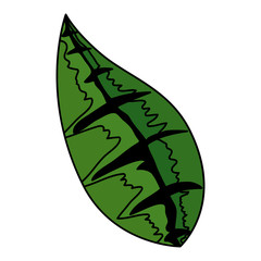ecology leaf isolated icon