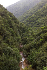 Naklejka premium a small waterfall and a river in the middle of the jungle