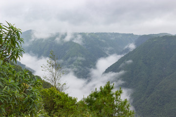 Obraz na płótnie Canvas large jungle territory in india, Meghalaya state landscape