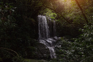 waterfall in the dark evening jungle and the sun shines through the thick tops of the trees