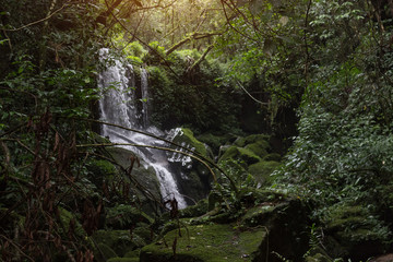 waterfall  in the jungle, beautiful place