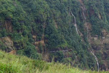 rock overgrown jungles and cloud landscape