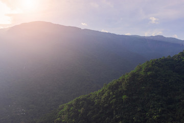 the sun rises over the jungle and illuminates them with warm rays