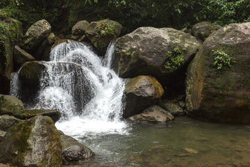 Fototapeta premium small waterfall nearby Double Decker Living Root Bridge in the Indian jungle